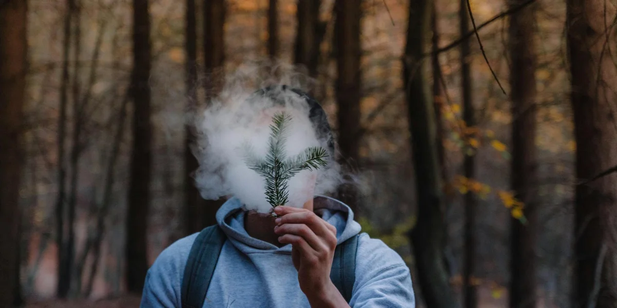 A person wearing a blue hoodie stands in a dim forest; smoke hides their face as they hold a cigarette, conveying contemplation.