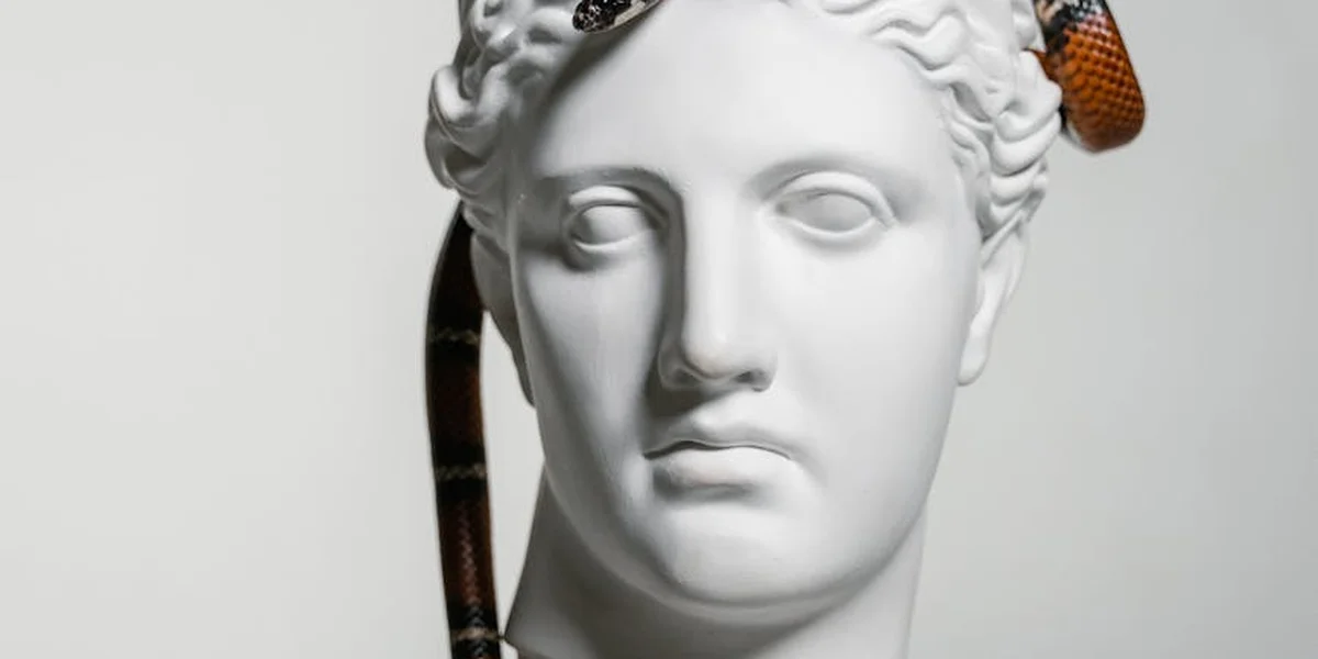 White marble statue bust with a snake coiled around the head, symbolizing transformation.
