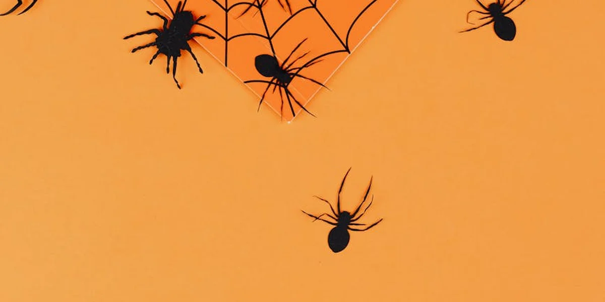 Silhouettes of spiders and webs against a warm orange background, symbolizing spider dream imagery across cultures.
