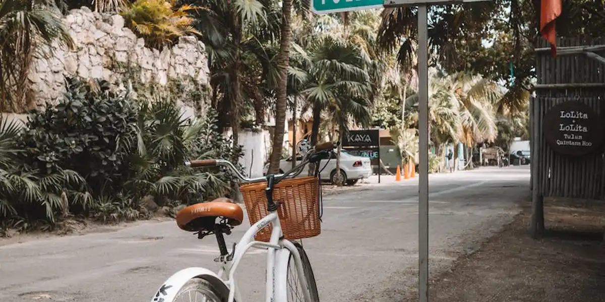 A quiet tropical street with a parked bicycle, palm trees, and a mix of signs in the distance, suggesting a blend of cultures.