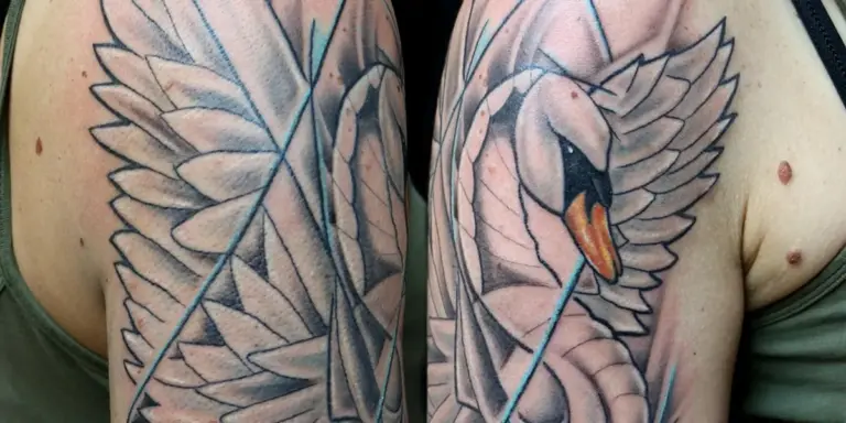 Pair of swan tattoos on a person's arms with flowing feathers and graceful necks.