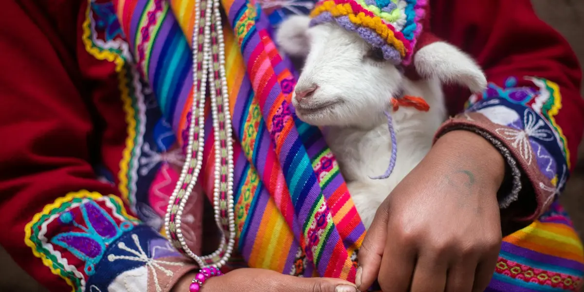 A small white lamb with a red string around its neck is held by a person wearing bright, multicolored embroidered clothing and beaded accessories.