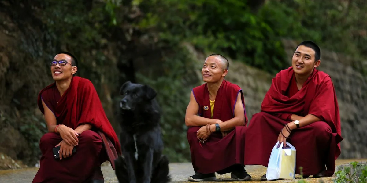 Three Buddhist monks in maroon robes sitting on the ground outdoors with a black dog nearby in a forested area.