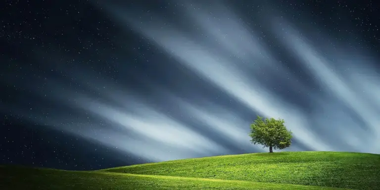 A solitary tree on a grassy hill beneath a night sky with stars and wispy, streaked clouds.