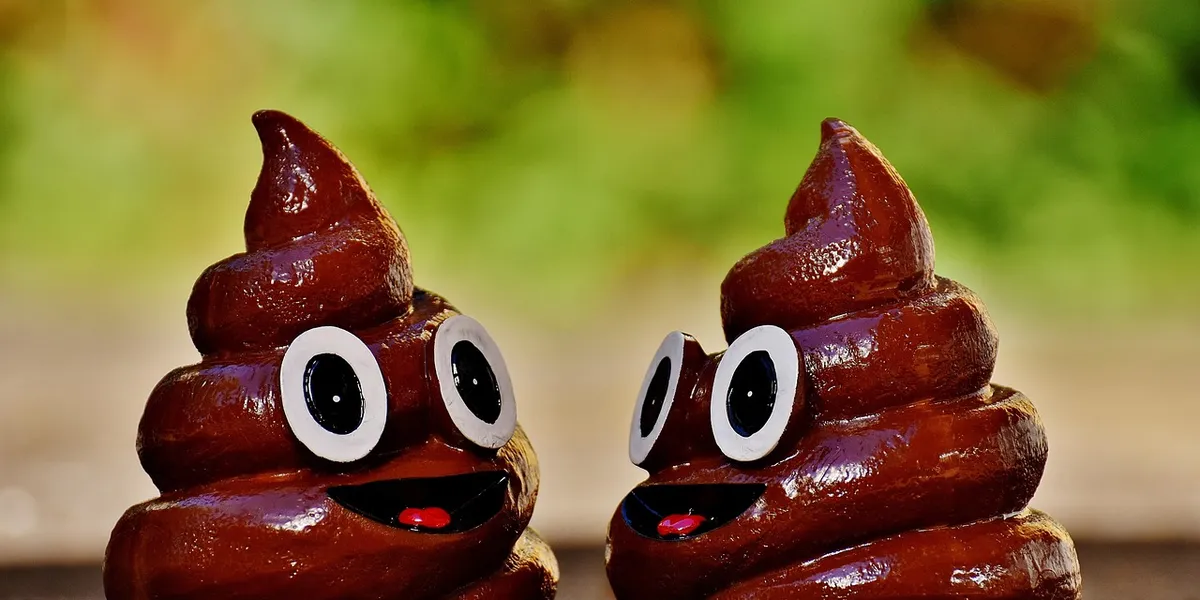 Two cartoon poop emoji sculptures with googly eyes and smiles against a blurred natural background.
