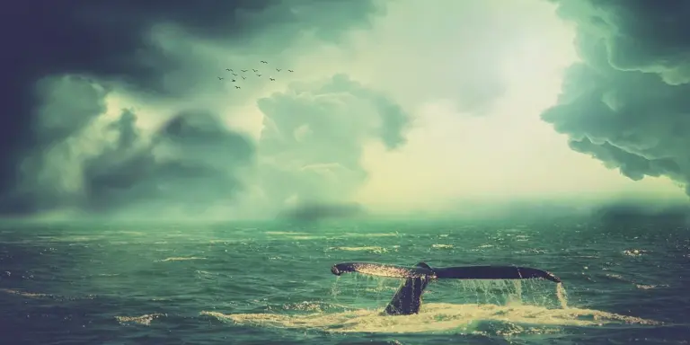 A massive whale tail fluke rising from the dark ocean beneath a dramatic, cloudy sky