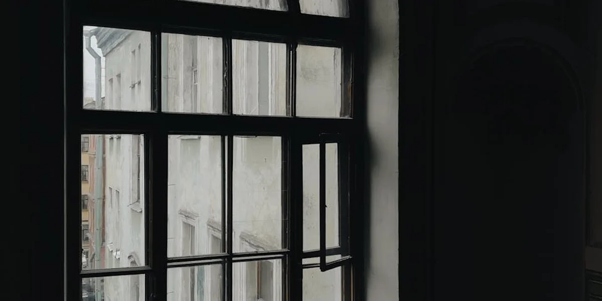 A dark interior view of a multi-pane window letting in muted daylight, suggesting thresholds, perspective, and inner reflection.